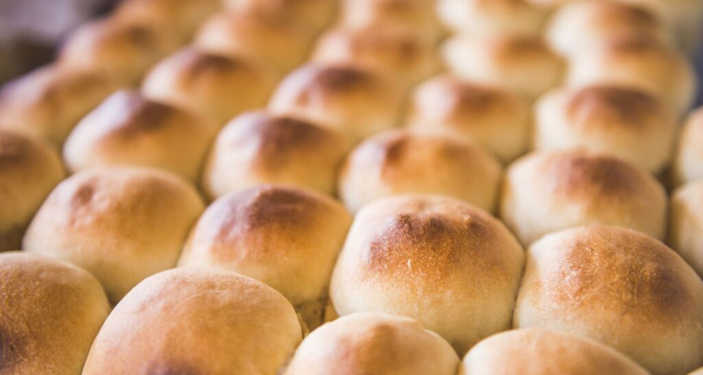 sourdough dinner rolls