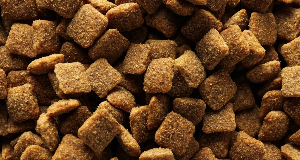 Close-up of wild-caught salmon recipe dry cat food, featuring square-shaped kibble pieces with a textured surface.